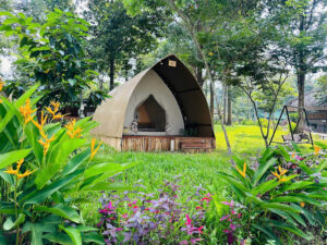 Nature WoW Glamping