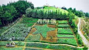 Pu Pha Đin