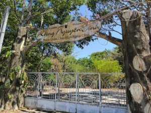 Rừng Nguyên Sinh Phước Bửu