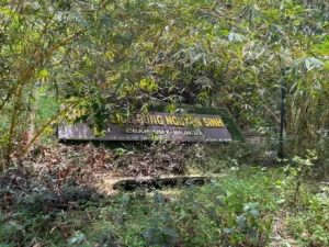 Rừng Nguyên Sinh Phước Bửu