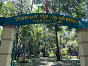 Rừng Nguyên Sinh Phước Bửu