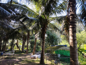 Sinh thái Hoà Lộc