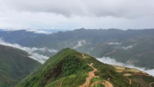 Sống lưng khủng long