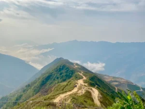 Sống lưng khủng long