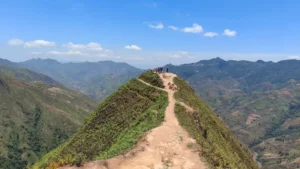 Sống lưng khủng long