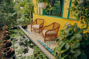 Sue’s Homestay Farmstay