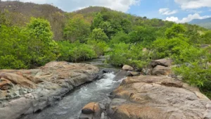Suối Phiêu Diêu