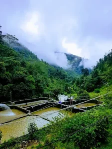 Trang Trại Nuôi Cá Hồi Cá Tầm Khau Phạ