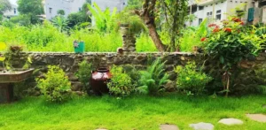 Tùng Dương Homestay