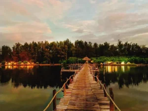 Vitamin Sea Hồ Cốc Camping & Coffee