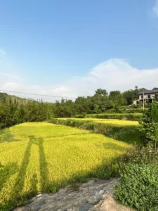 Vườn Hoa Suối La La