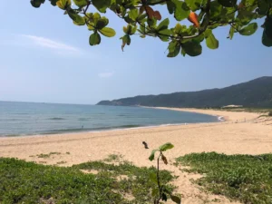 Bãi biển Hóc Chổ