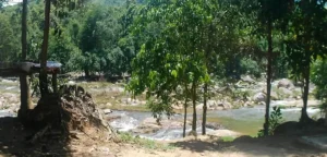 Điểm camping Suối đá Giăng