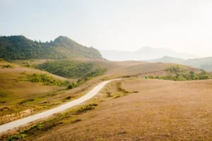 Đồi Cỏ Phan Thanh