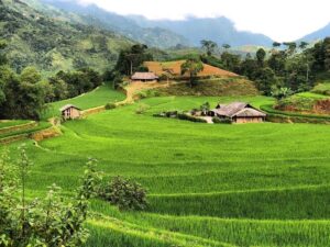 Nậm Tỵ, Hoàng Su Phì, Hà Giang