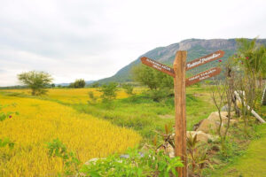 Natural Paradise Ninh Thuận