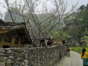 Phim trường Chuyện của Pao