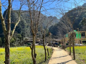 Phim trường Chuyện của Pao