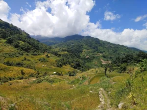 Ruộng bậc thang Kon Pin