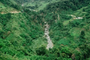 Ruộng bậc thang Kon Pin