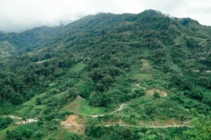 Ruộng bậc thang Kon Pin