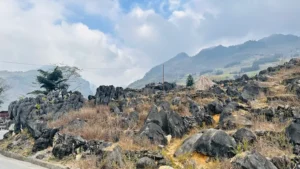 Bãi đá Hải Cẩu