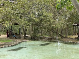 Suối Nước Nóng Trường Xuân