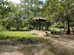 Suối Nước Nóng Trường Xuân