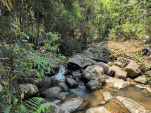 Trekking Thác Thiên Thai