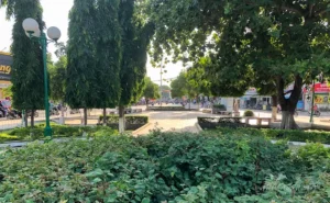Công Viên phường Đức Long (cổng chữ Y)