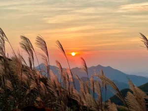 Cột Mốc 1297 - Đình Lập- Lạng Sơn