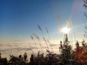 Điểm săn mây Tả Van Chư