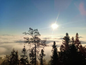 Điểm săn mây Tả Van Chư