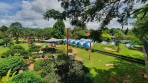 Greenfield Farmstay
