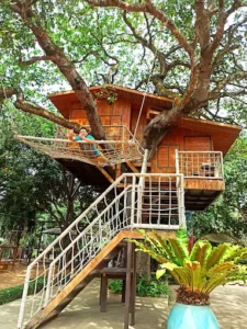 Greenfield Farmstay