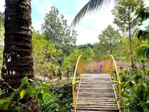 Khu du lịch sinh thái Hương Tràm