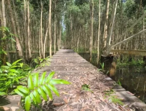 Khu du lịch sinh thái Hương Tràm