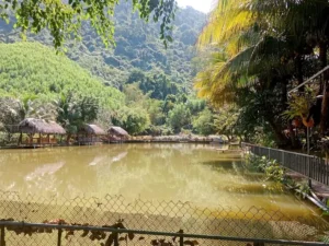 Khu Sinh Thái Câu Cá Thư Giãn Suối Mơ Khánh hòa