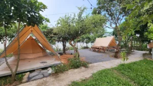 Mây Glamping