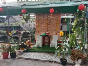 Miệt Vườn Cái Bè