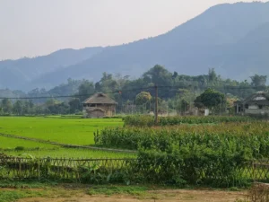 Nghĩa Đô Xanh
