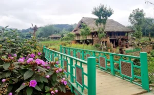 Nghĩa Đô Xanh