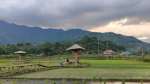 Nghĩa Đô Xanh