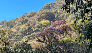 đỉnh núi pu ta leng