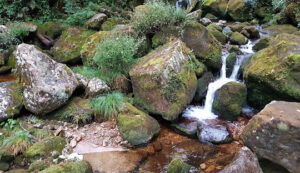 đỉnh núi pu ta leng
