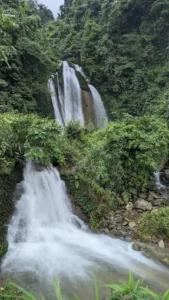 Thác Tà Lâm
