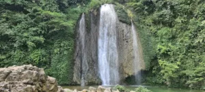 Thác Tà Lâm