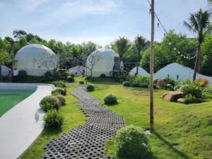 The Oasis Glamping