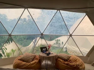 The Oasis Glamping
