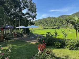 Ún's House Homestay